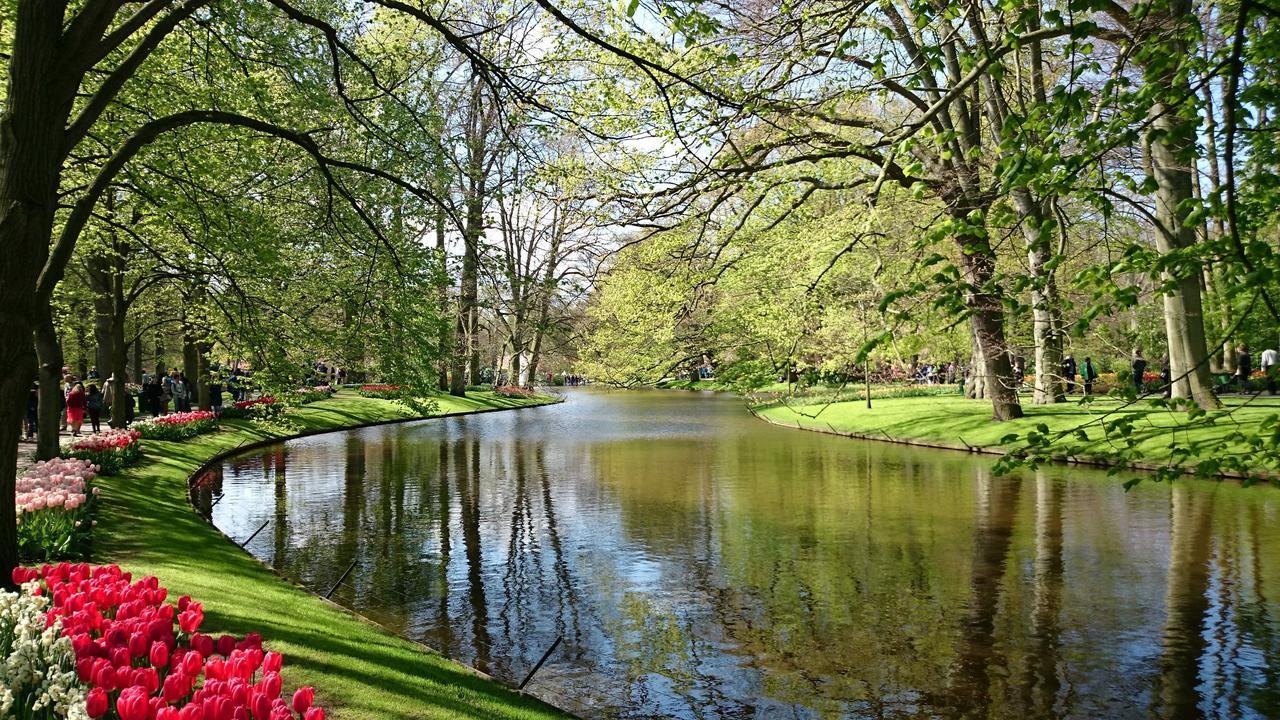 Boutique Suites Lisse - Keukenhof מראה חיצוני תמונה